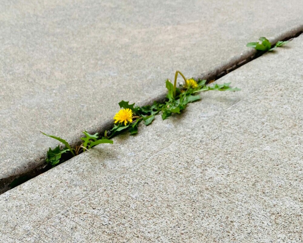 Resilience